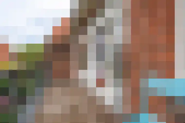 Lammenschansweg 131 Leiden thumbnail 36