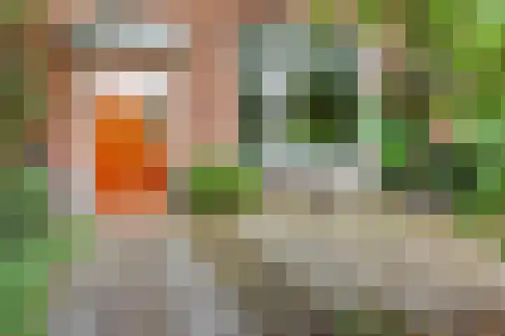 Lammenschansweg 131 Leiden thumbnail 4