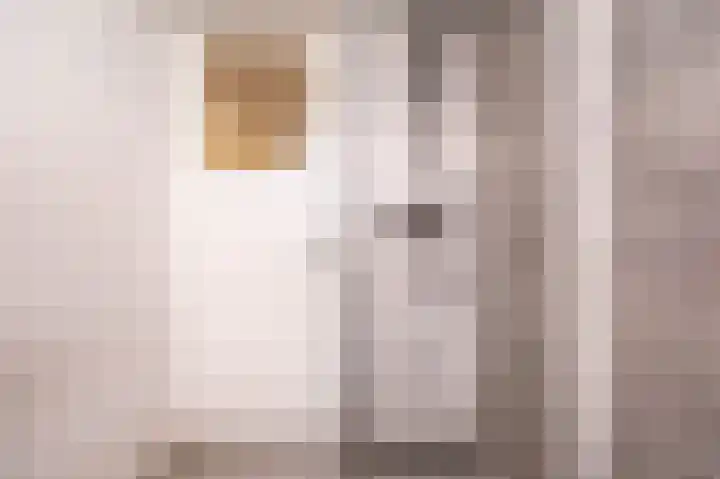 Lammenschansweg 131 Leiden thumbnail 41