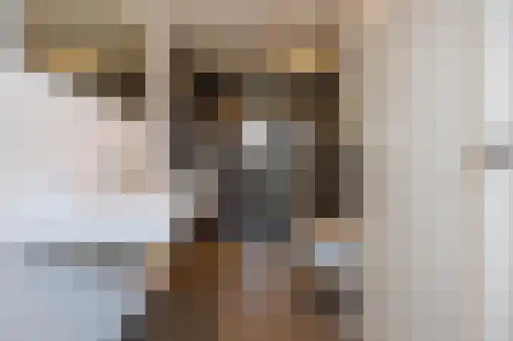Lammenschansweg 131 Leiden thumbnail 47
