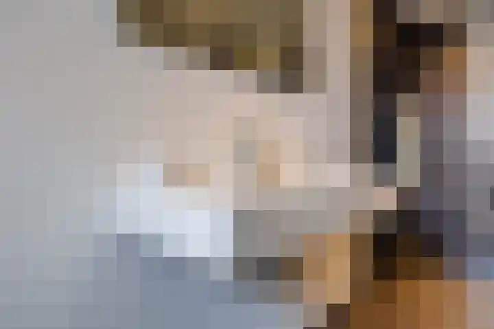 Lammenschansweg 131 Leiden thumbnail 50