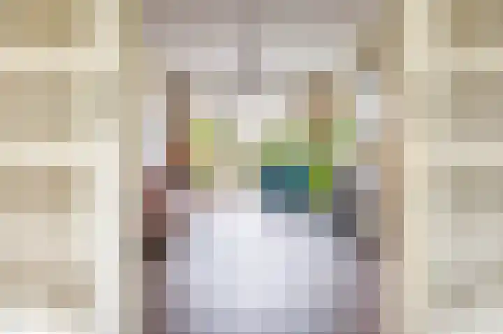 Lammenschansweg 131 Leiden thumbnail 8