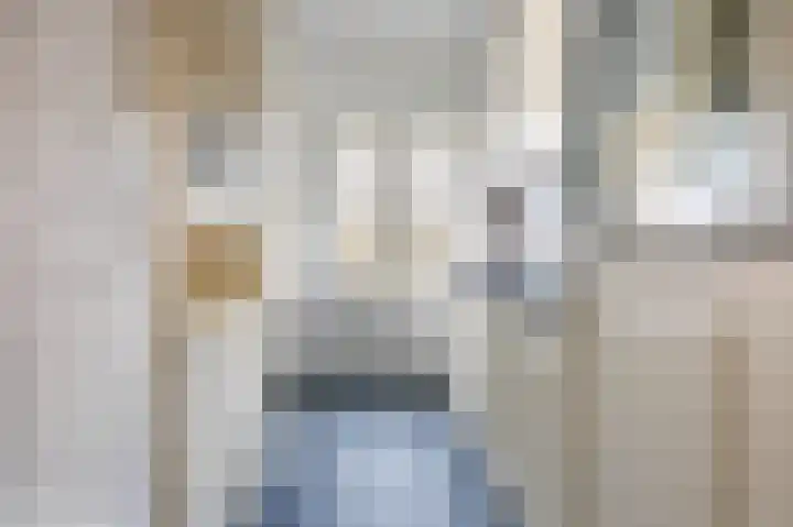 Lammenschansweg 22 Leiden thumbnail 11