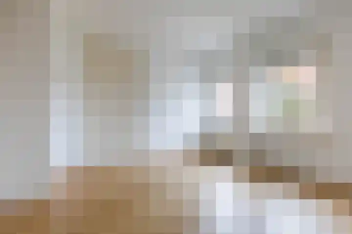 Lammenschansweg 22 Leiden thumbnail 19