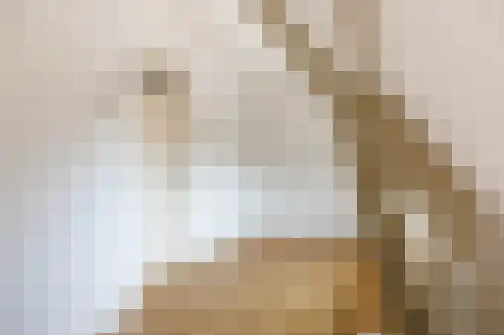Lammenschansweg 22 Leiden thumbnail 22