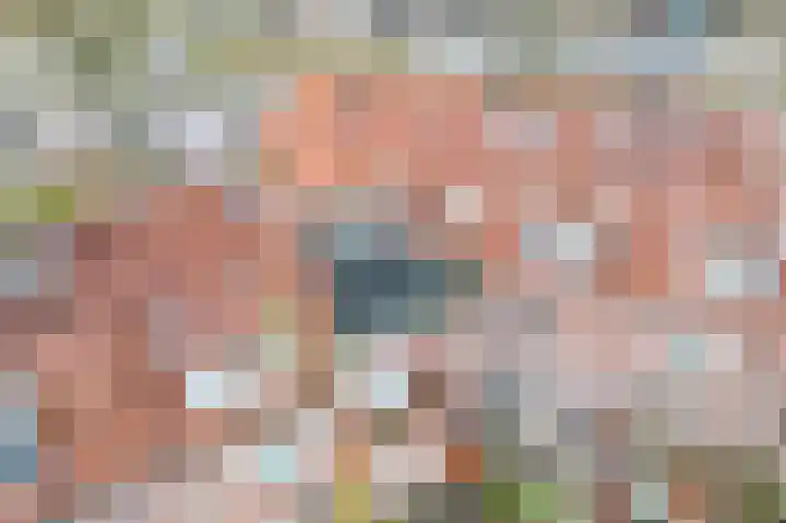 Lammenschansweg 22 Leiden thumbnail 29