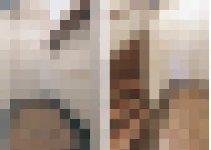 Lammenschansweg 22 Leiden thumbnail 30
