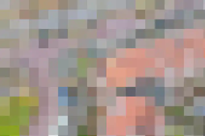 Lammenschansweg 22 Leiden thumbnail 37