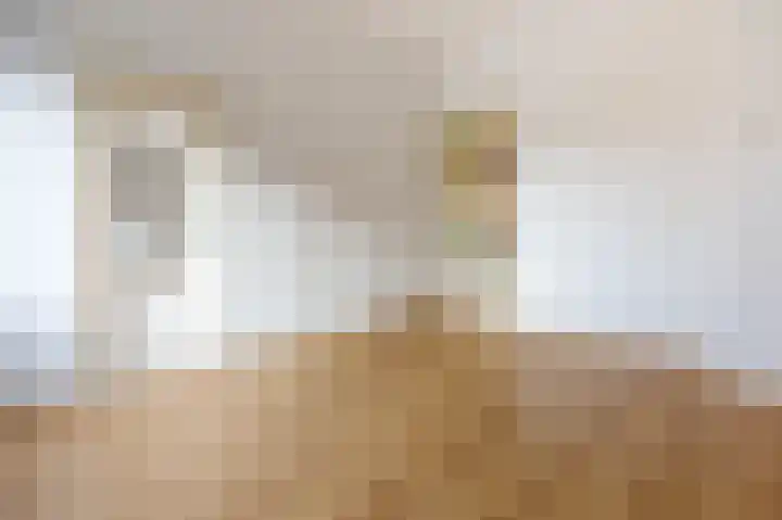 Lammenschansweg 22 Leiden thumbnail 8
