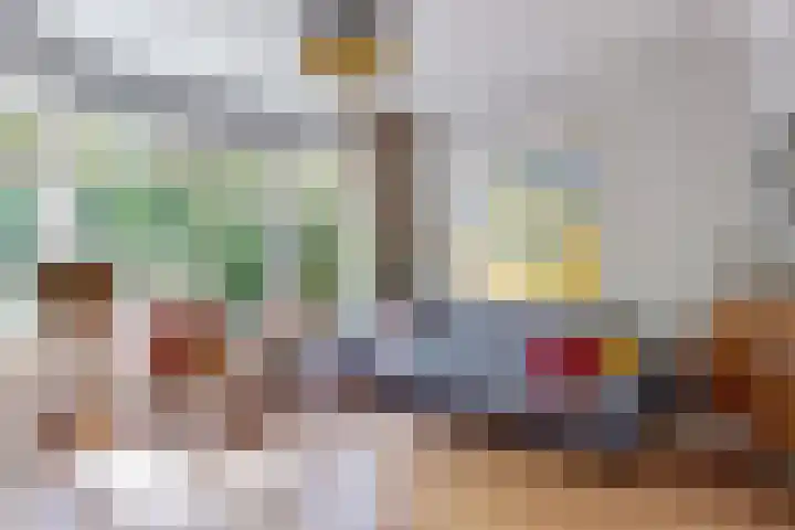 Lammenschansweg 83 Leiden thumbnail 10