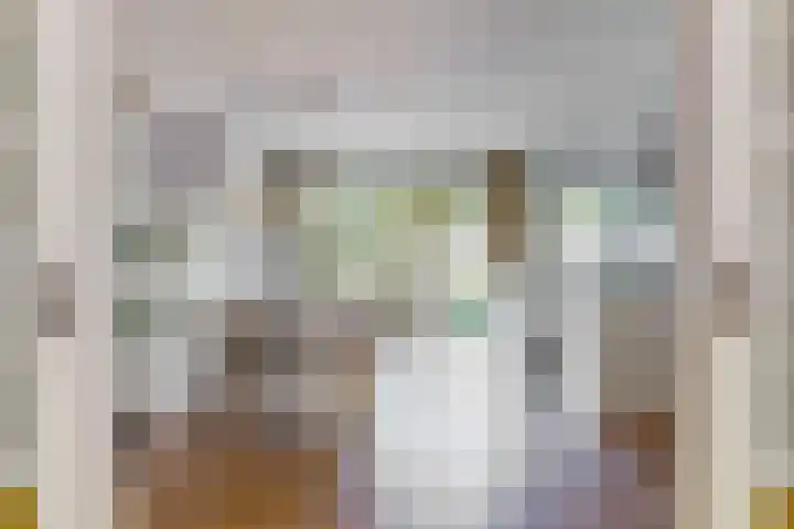 Lammenschansweg 83 Leiden thumbnail 12