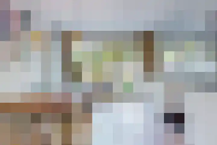 Lammenschansweg 83 Leiden thumbnail 14