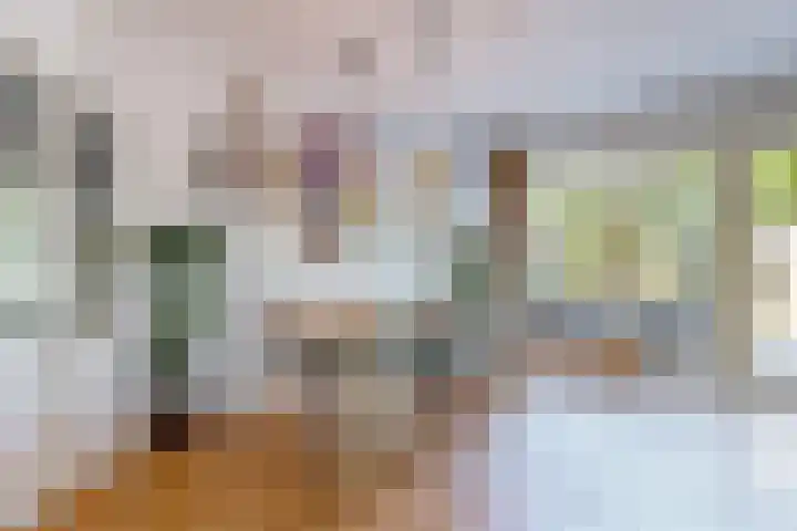 Lammenschansweg 83 Leiden thumbnail 15