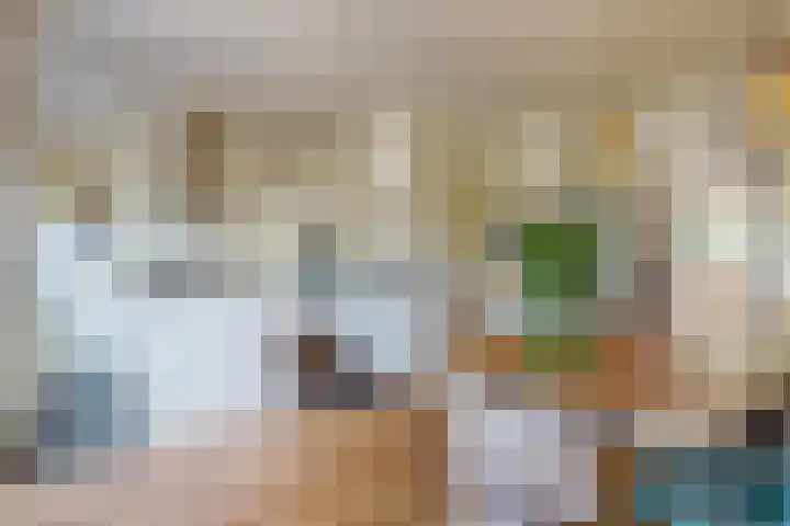 Lammenschansweg 83 Leiden thumbnail 16