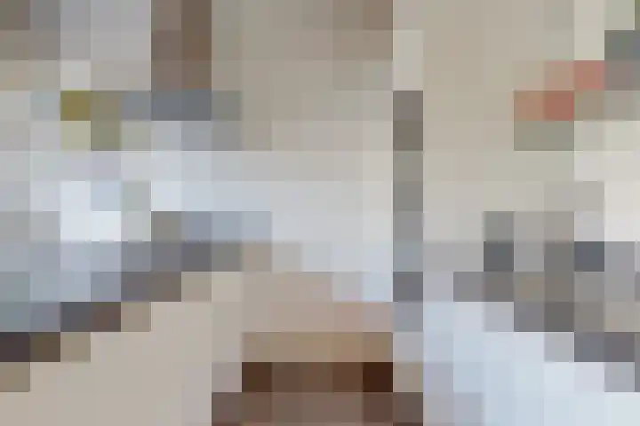 Lammenschansweg 83 Leiden thumbnail 20