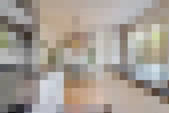 Lammenschansweg 83 Leiden thumbnail 21