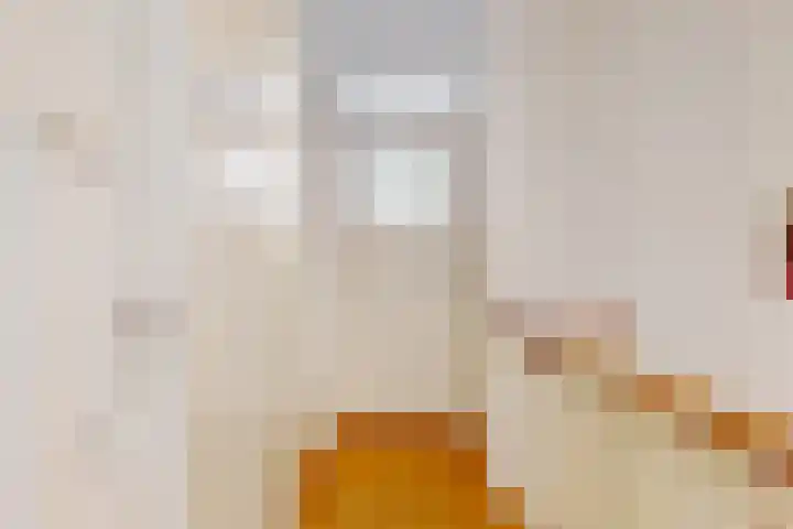 Lammenschansweg 83 Leiden thumbnail 23