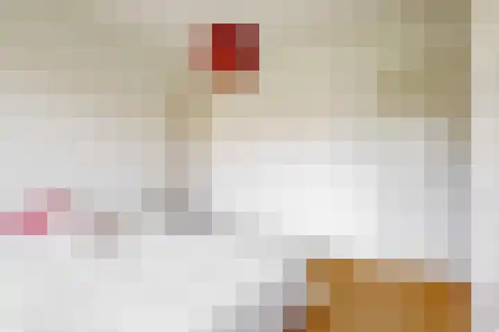 Lammenschansweg 83 Leiden thumbnail 26