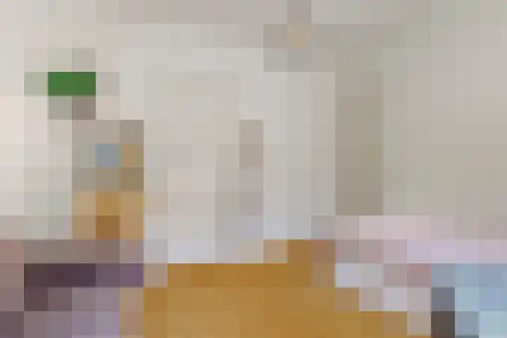 Lammenschansweg 83 Leiden thumbnail 30