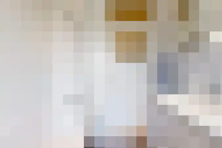 Lammenschansweg 83 Leiden thumbnail 32