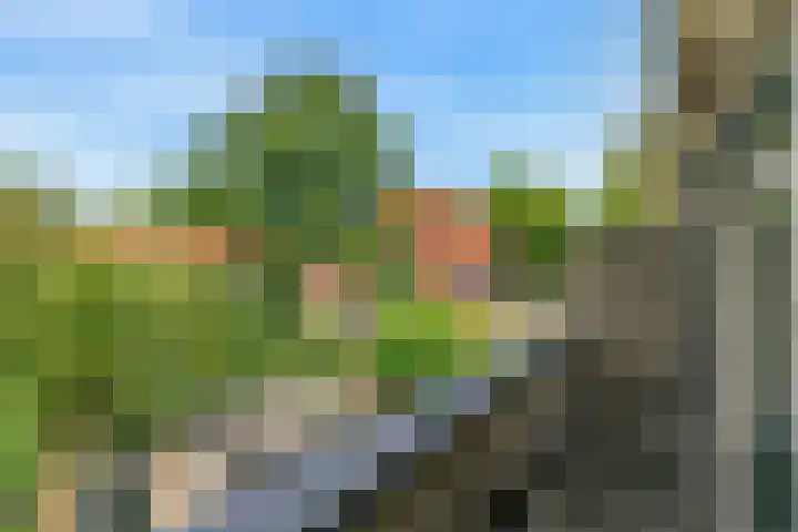 Lammenschansweg 83 Leiden thumbnail 50