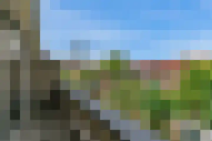Lammenschansweg 83 Leiden thumbnail 51
