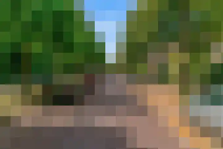 Lammenschansweg 83 Leiden thumbnail 53