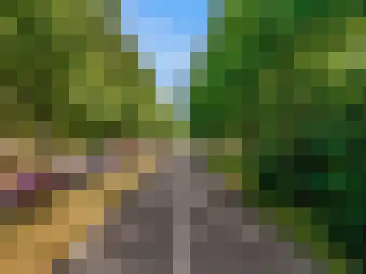 Lammenschansweg 83 Leiden thumbnail 55