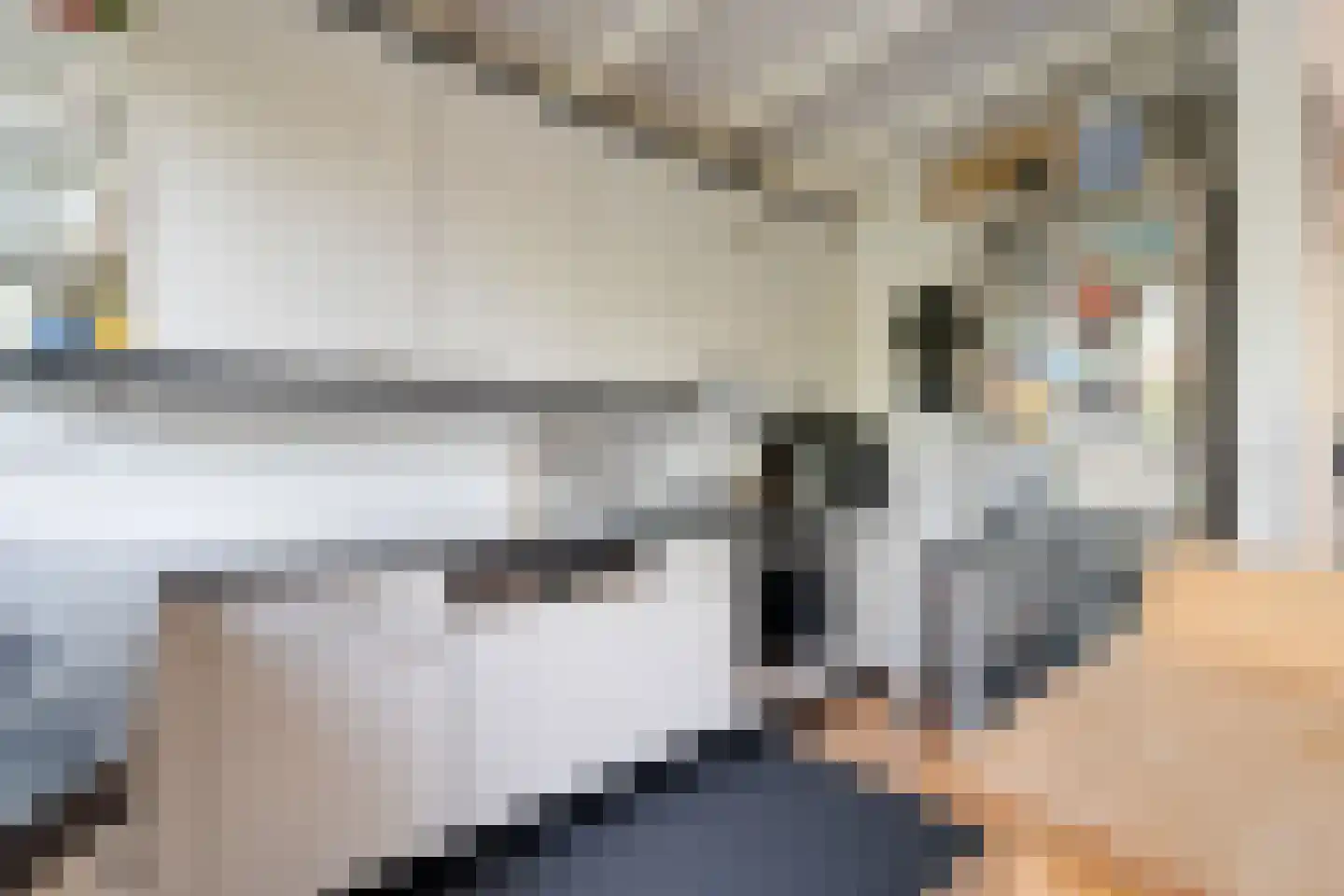 Lammenschansweg 91 Leiden thumbnail 20