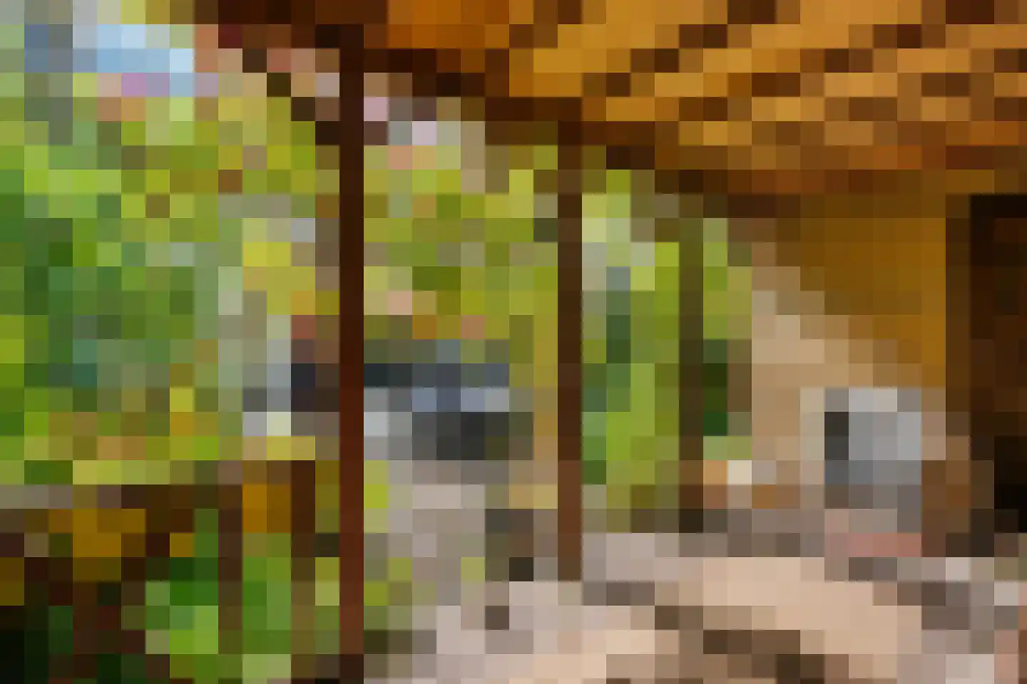 Lammenschansweg 91 Leiden thumbnail 26