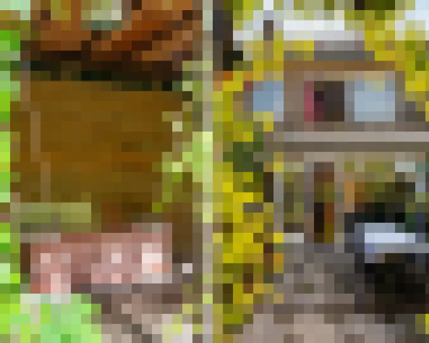 Lammenschansweg 91 Leiden thumbnail 28