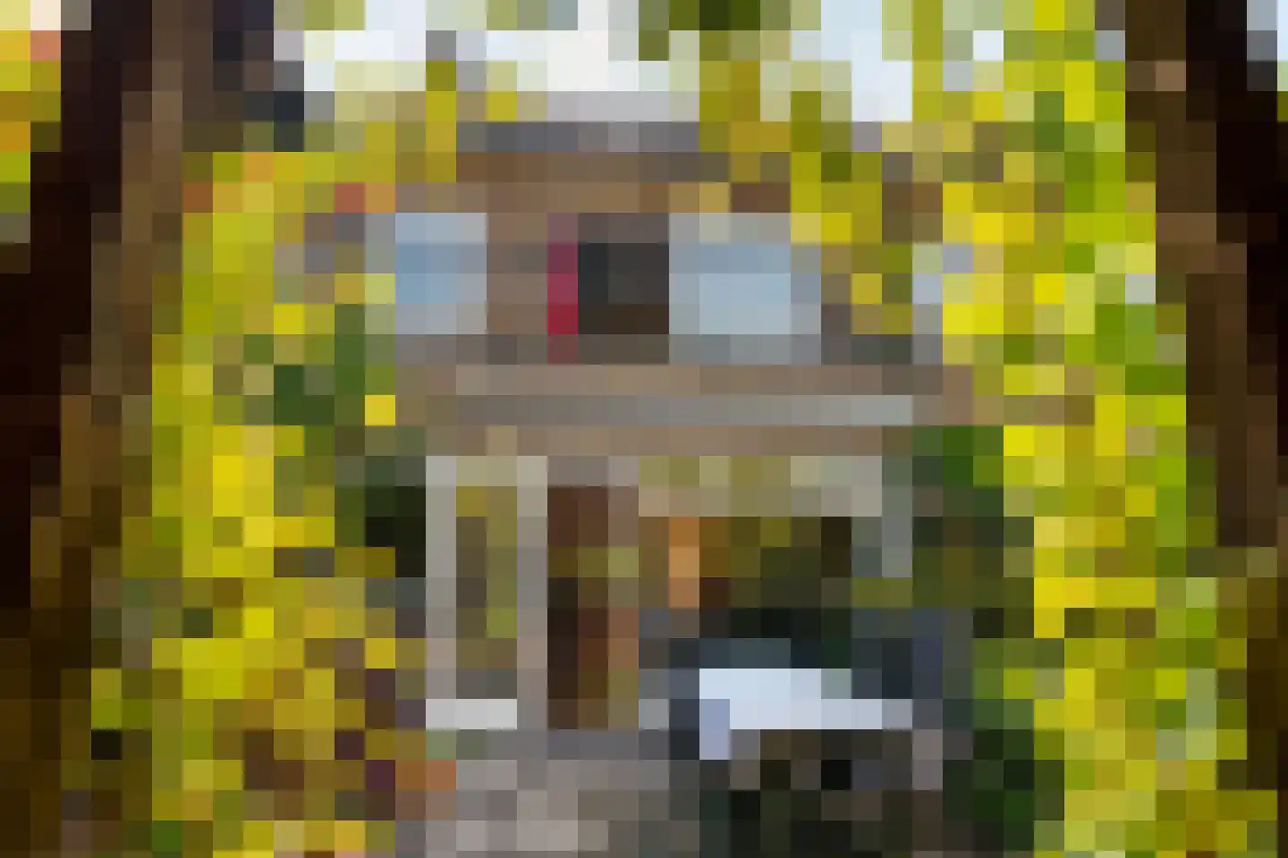 Lammenschansweg 91 Leiden thumbnail 4