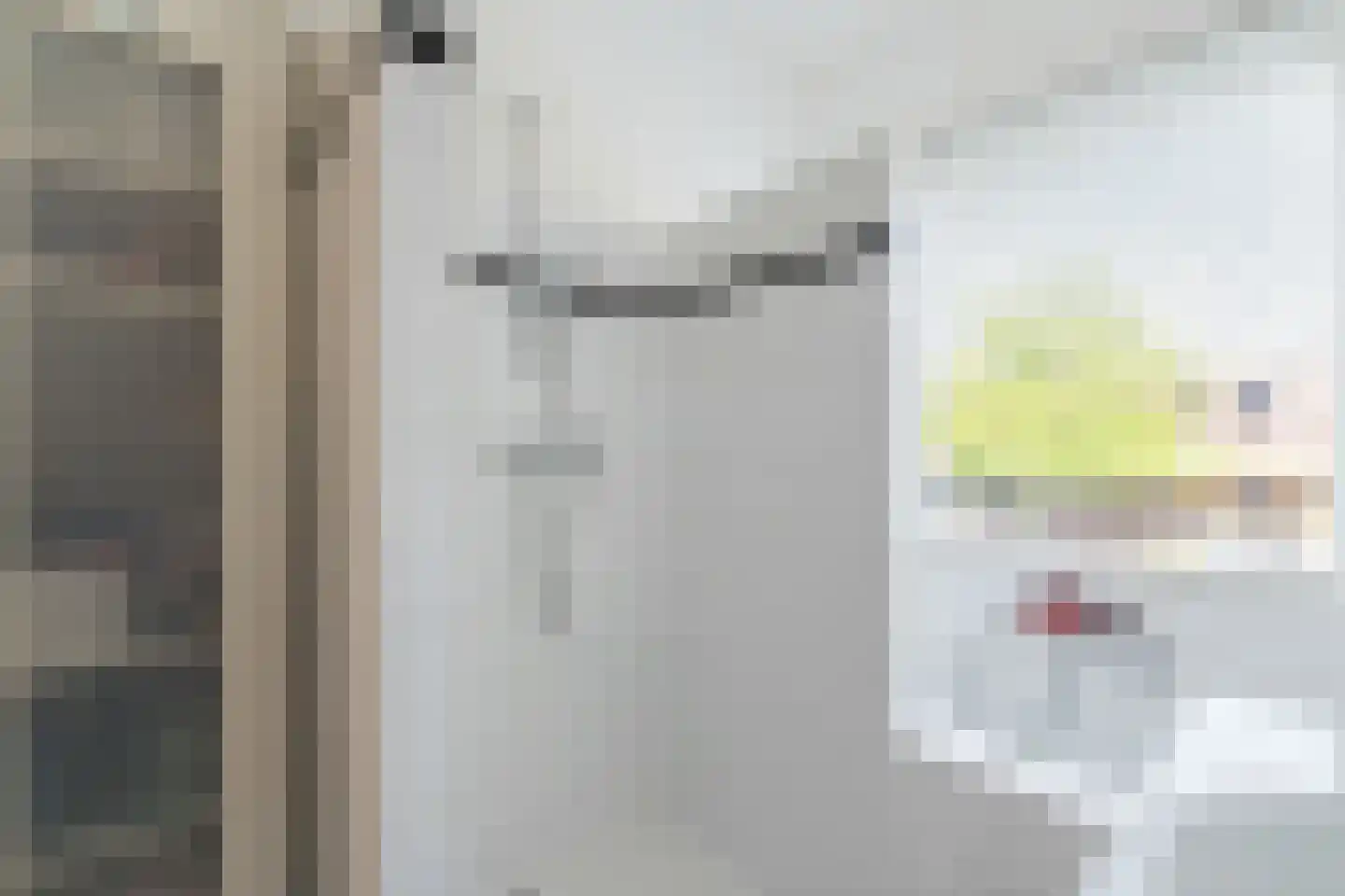 Lammenschansweg 91 Leiden thumbnail 43