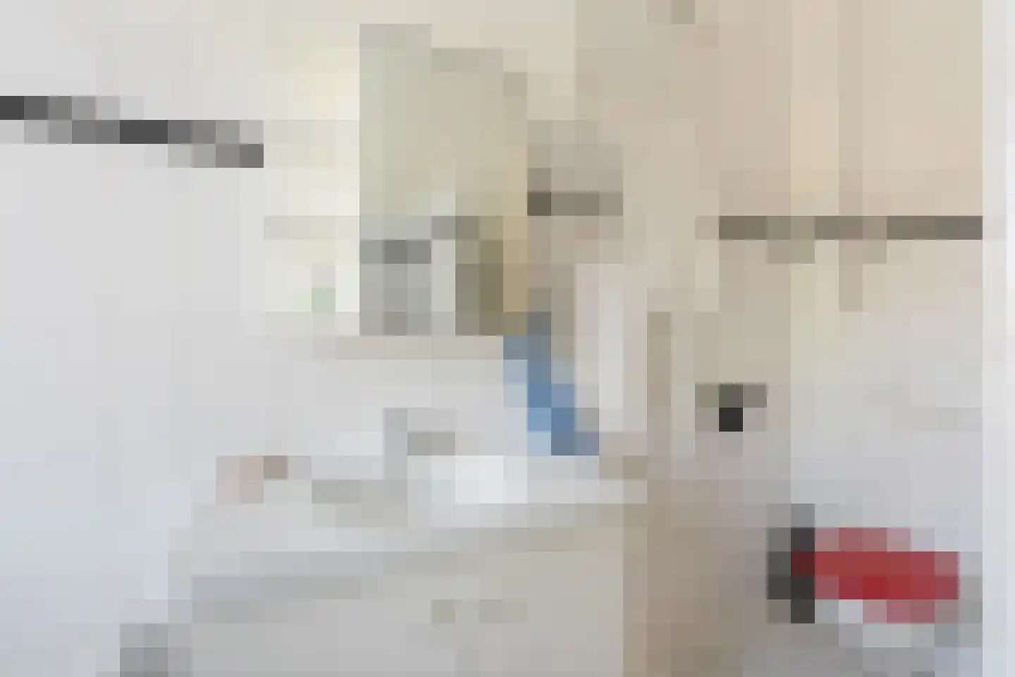 Lammenschansweg 91 Leiden thumbnail 44