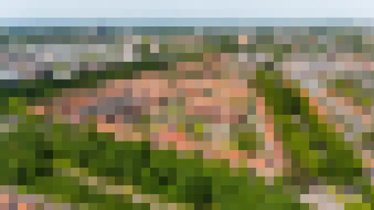 Lammenschansweg 91 Leiden thumbnail 57