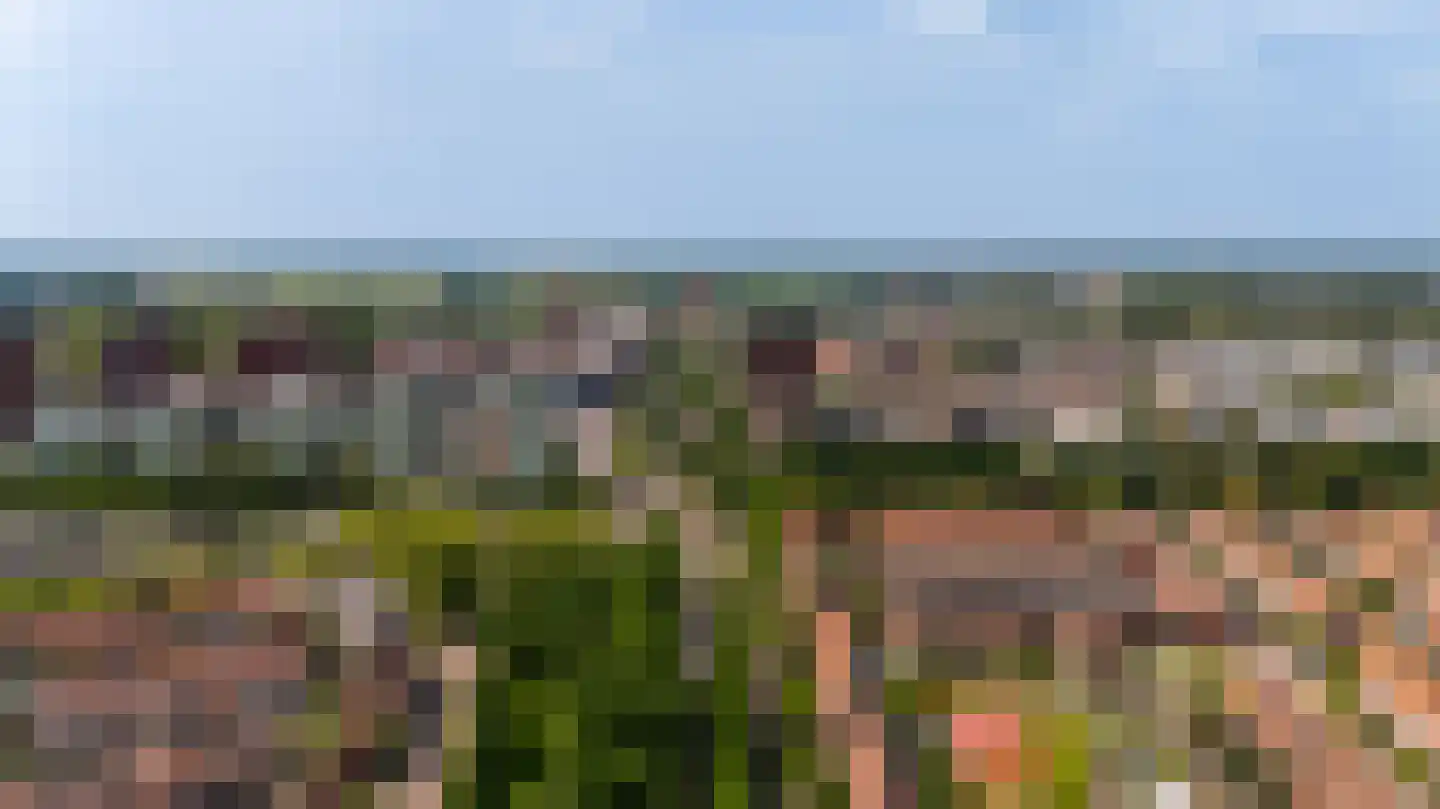 Lammenschansweg 91 Leiden thumbnail 58