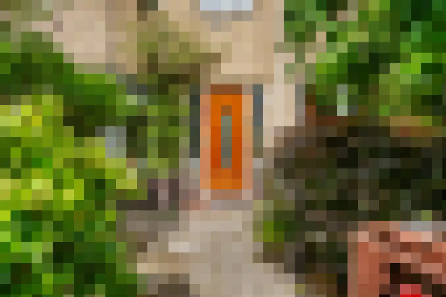 Lammenschansweg 91 Leiden thumbnail 6