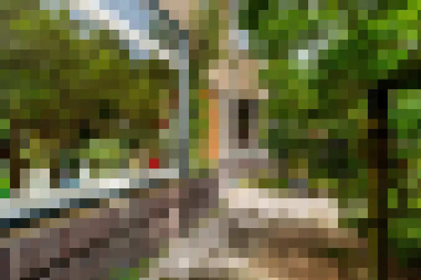 Lammenschansweg 91 Leiden thumbnail 7