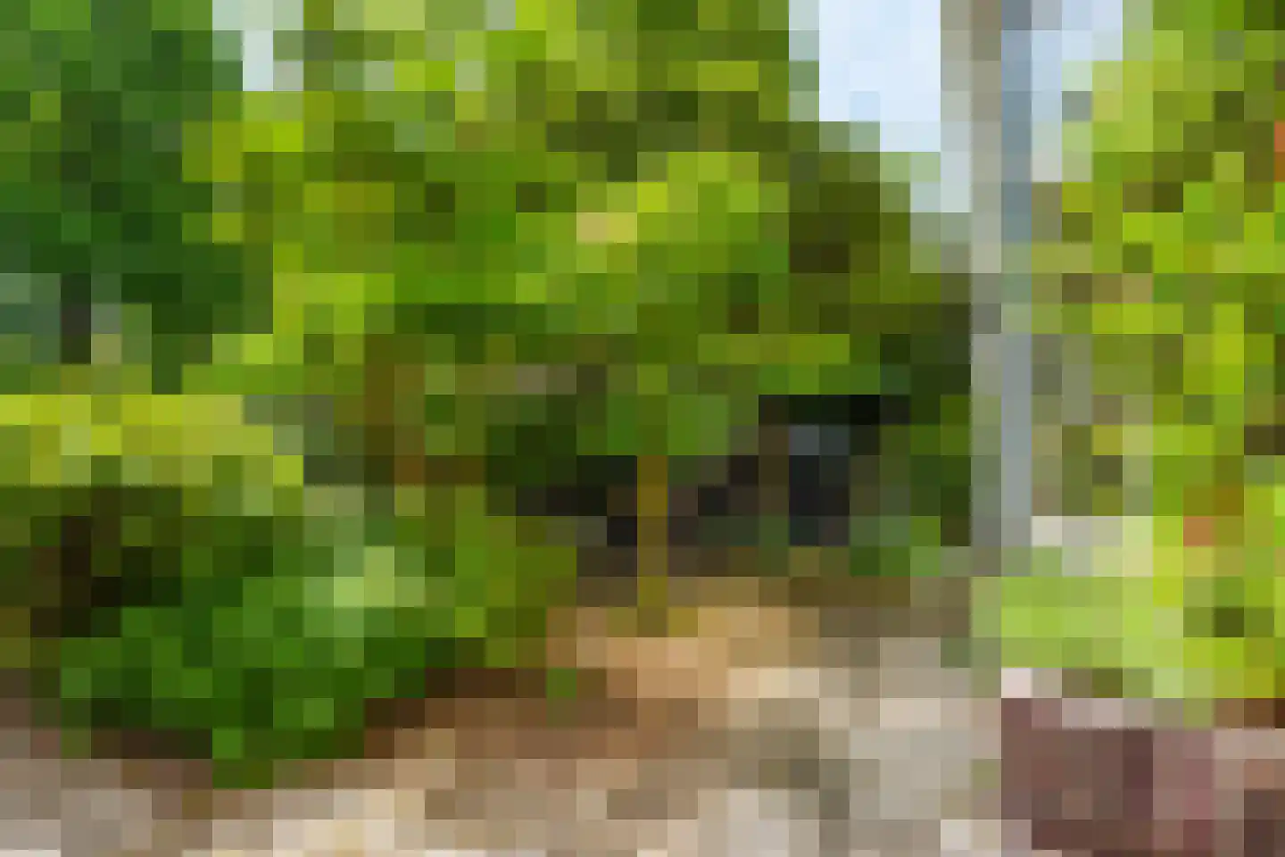 Lammenschansweg 91 Leiden thumbnail 8