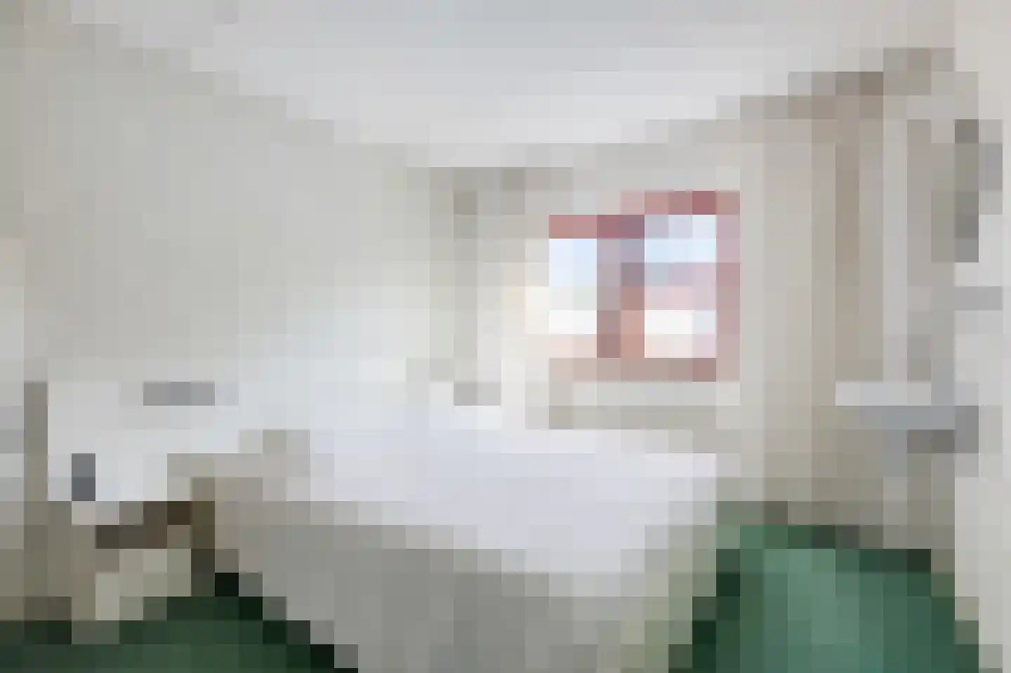 Lammerenhof 11 Zevenaar thumbnail 33
