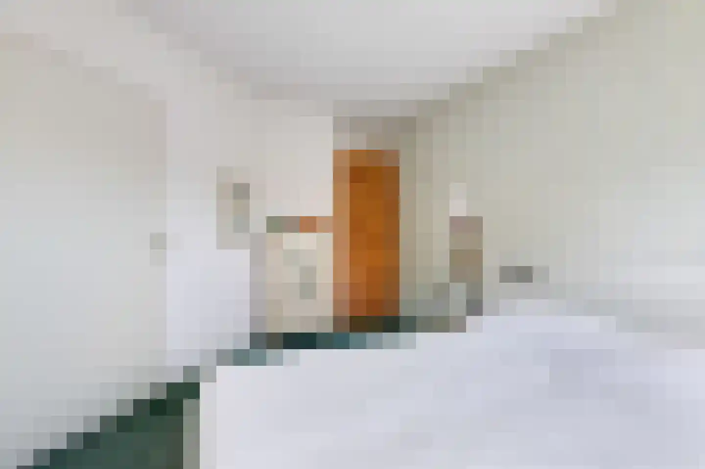 Lammerenhof 11 Zevenaar thumbnail 34
