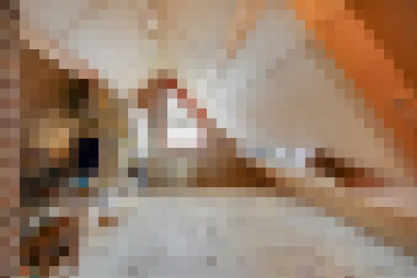 Lammerenhof 11 Zevenaar thumbnail 39