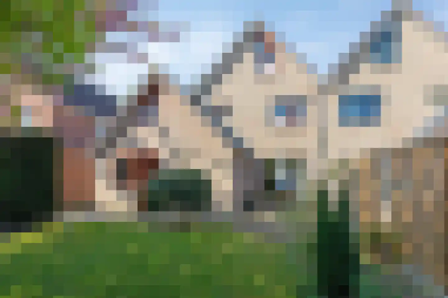 Lammerenhof 11 Zevenaar thumbnail 46
