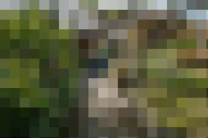 Lammerenhof 23 Zevenaar thumbnail 31