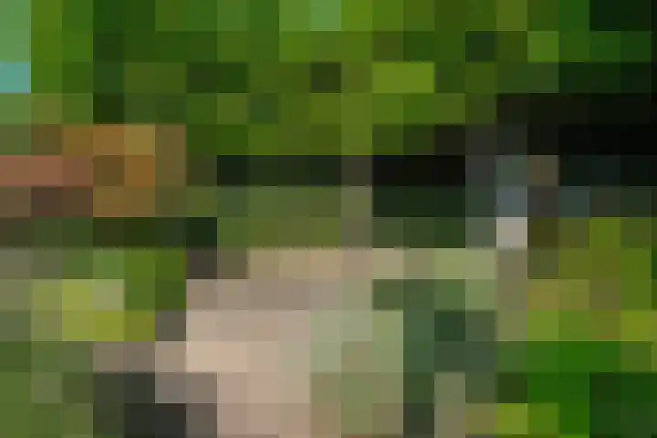Lammerenhof 23 Zevenaar thumbnail 32