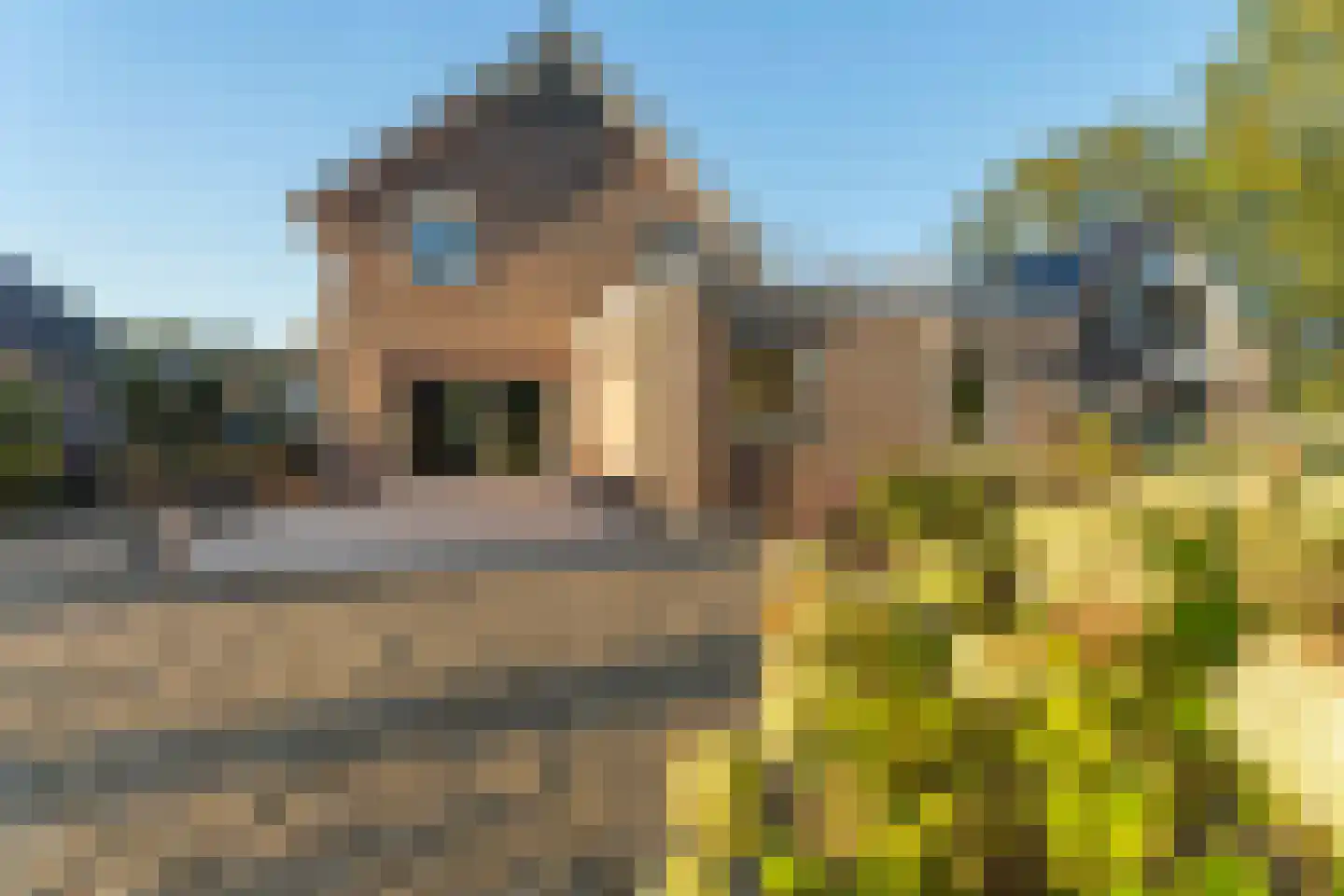 Lammerenhof 58 Zevenaar thumbnail 53