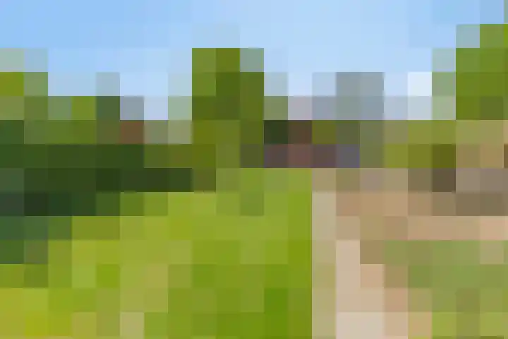 Lammergierstraat 16 Maastricht thumbnail 16