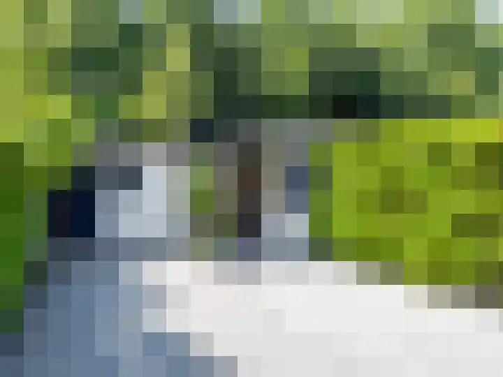 Lammerhof 30 Warnsveld thumbnail 20
