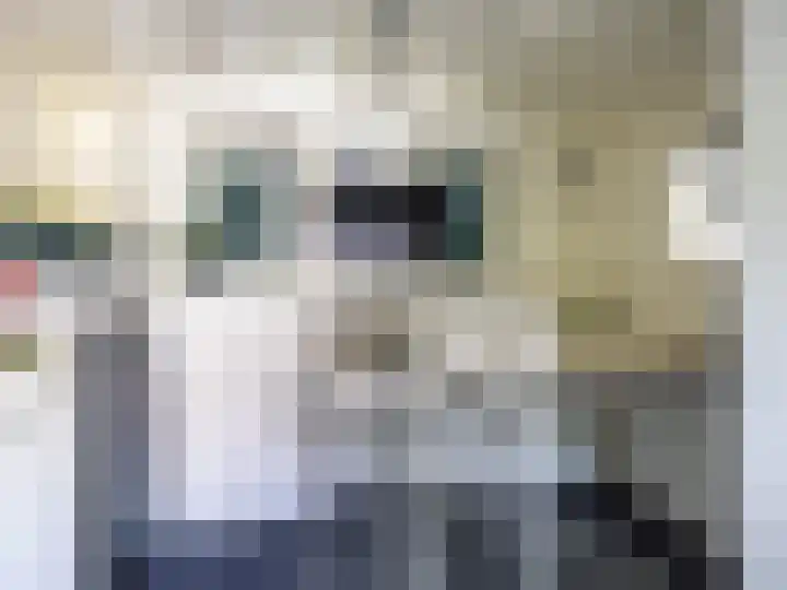 Lammerhof 30 Warnsveld thumbnail 23