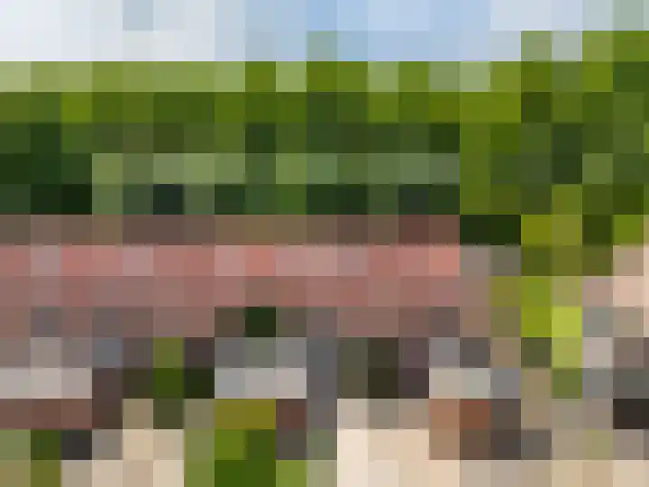 Lammerhof 30 Warnsveld thumbnail 28